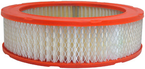 Fram CA160 EXTRA GUARD (R) Air Filter
