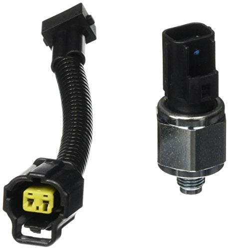 Standard Ignition CCR-1  Cruise Control Switch