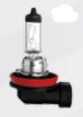Hella H11  Headlight Bulb