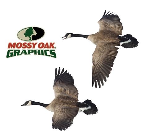 Mossy Oak Signature Automotive 13009  Decal