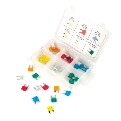 Performance Tool W5371 Fuse Assortment; Fuse Type - Mini Blade Fuse  Quantity - 30 Pieces  With Storage Case - Yes