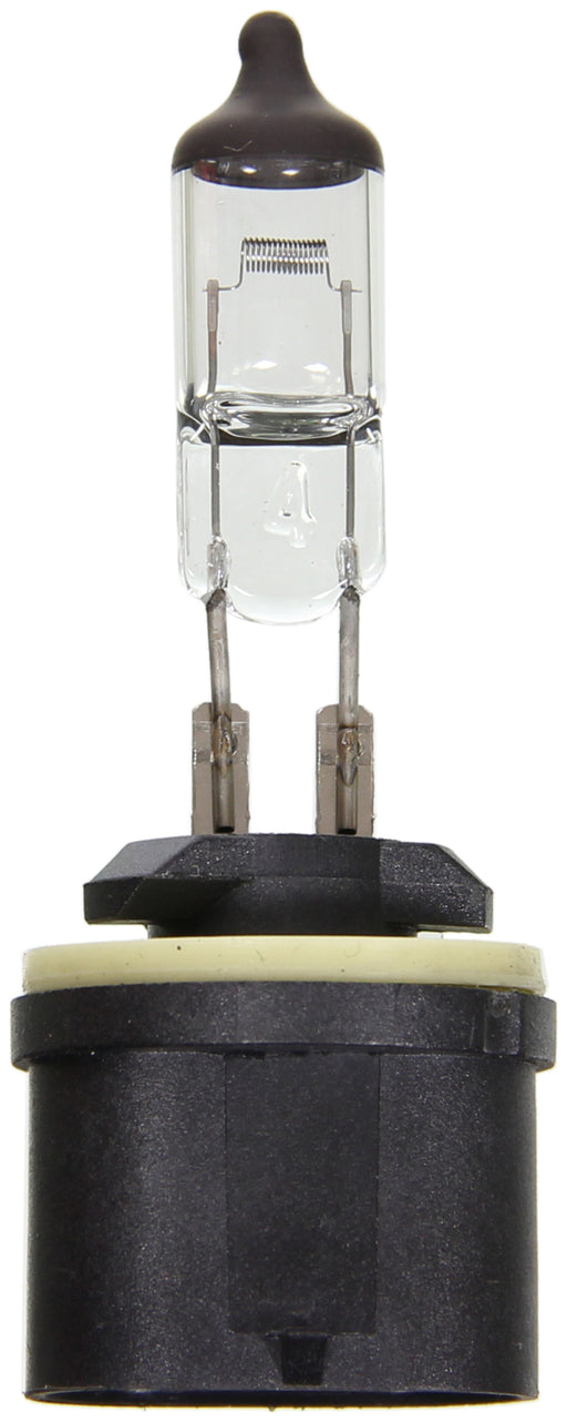 Wagner Lighting BP899 Standard Series Headlight Bulb
